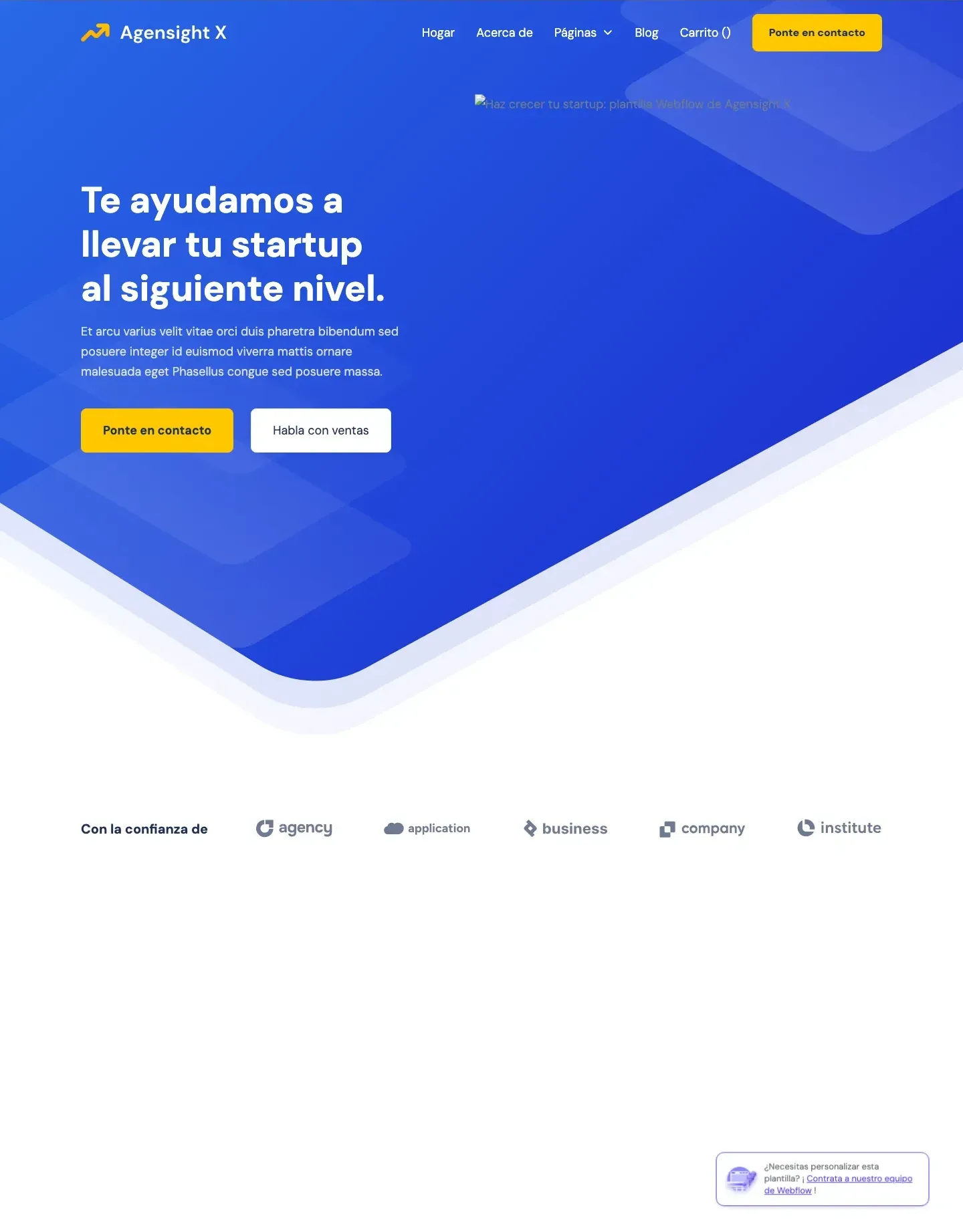 Diseño de página web para agencias y estudios