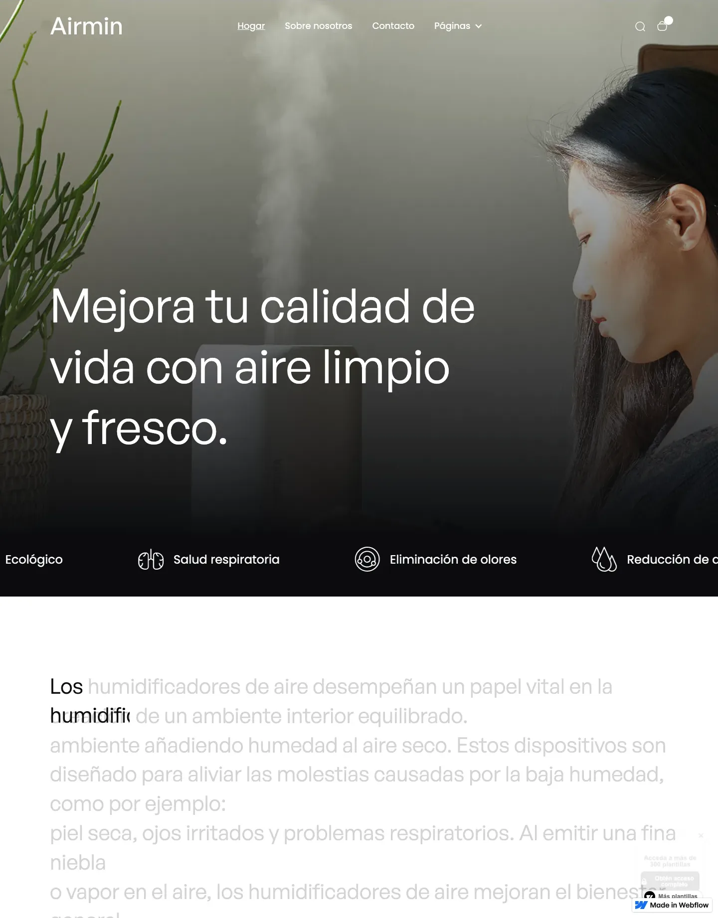 Diseño de página web para tienda online