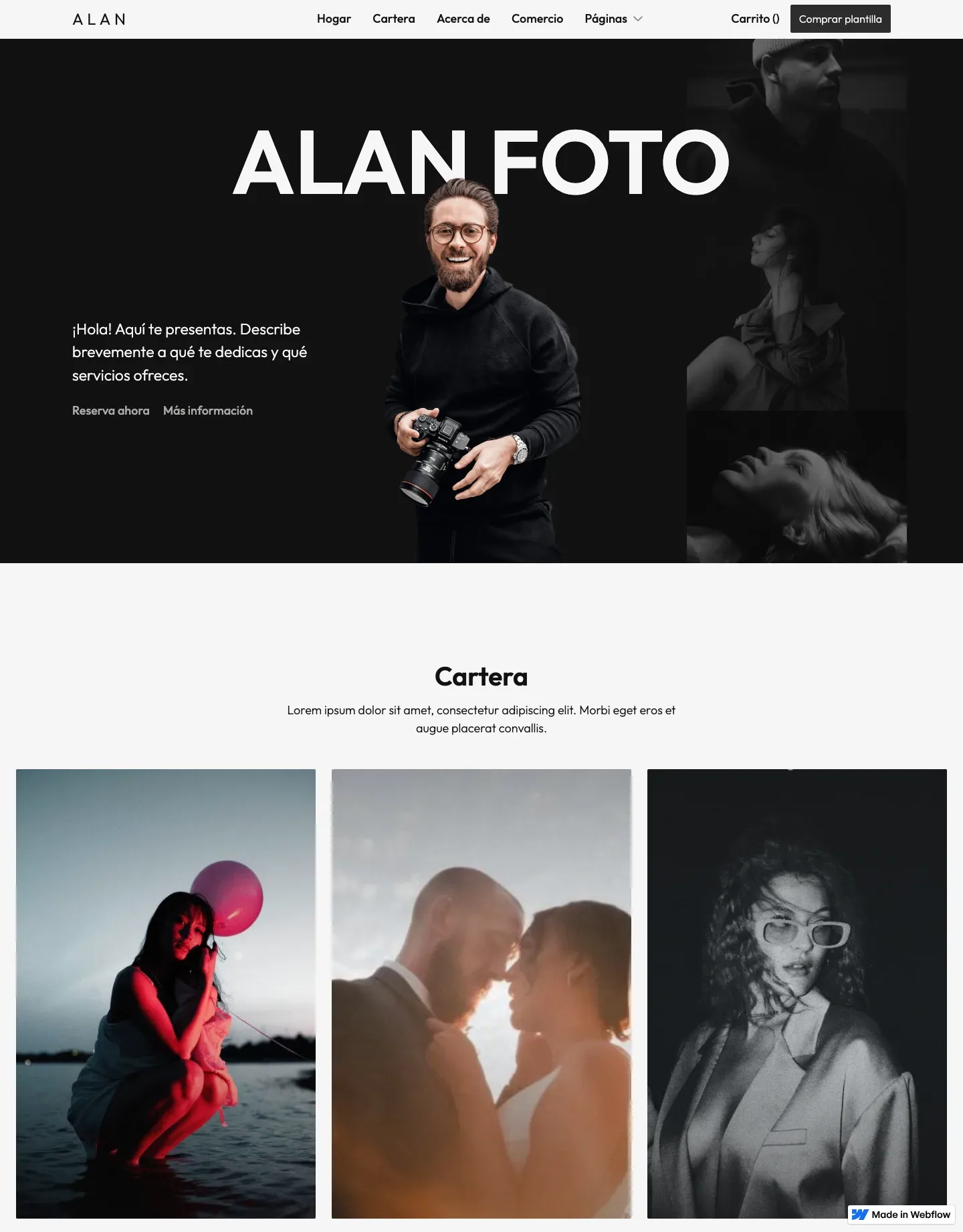 Diseño de página web para agencias y estudios