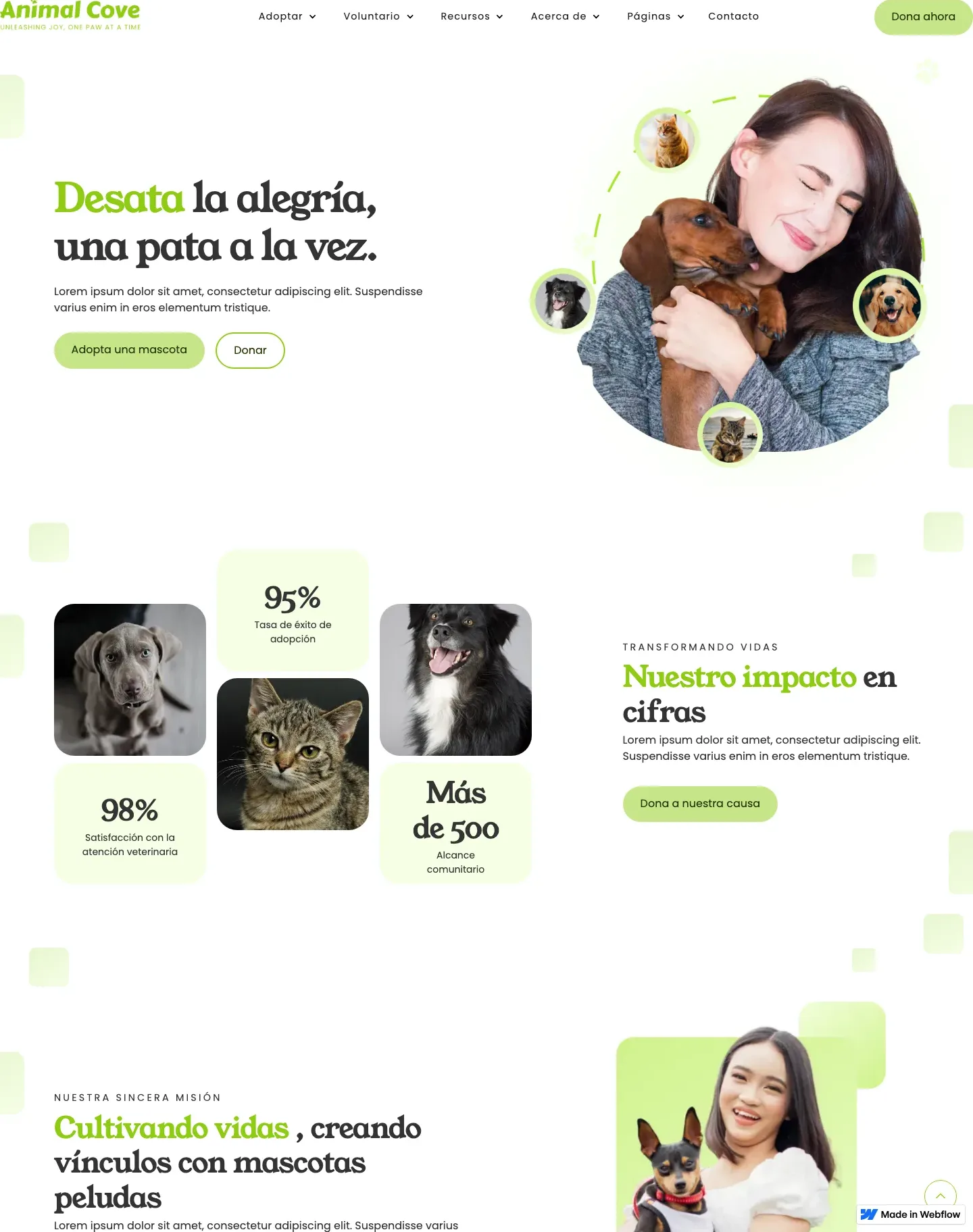 Diseño de página web para veterinarias