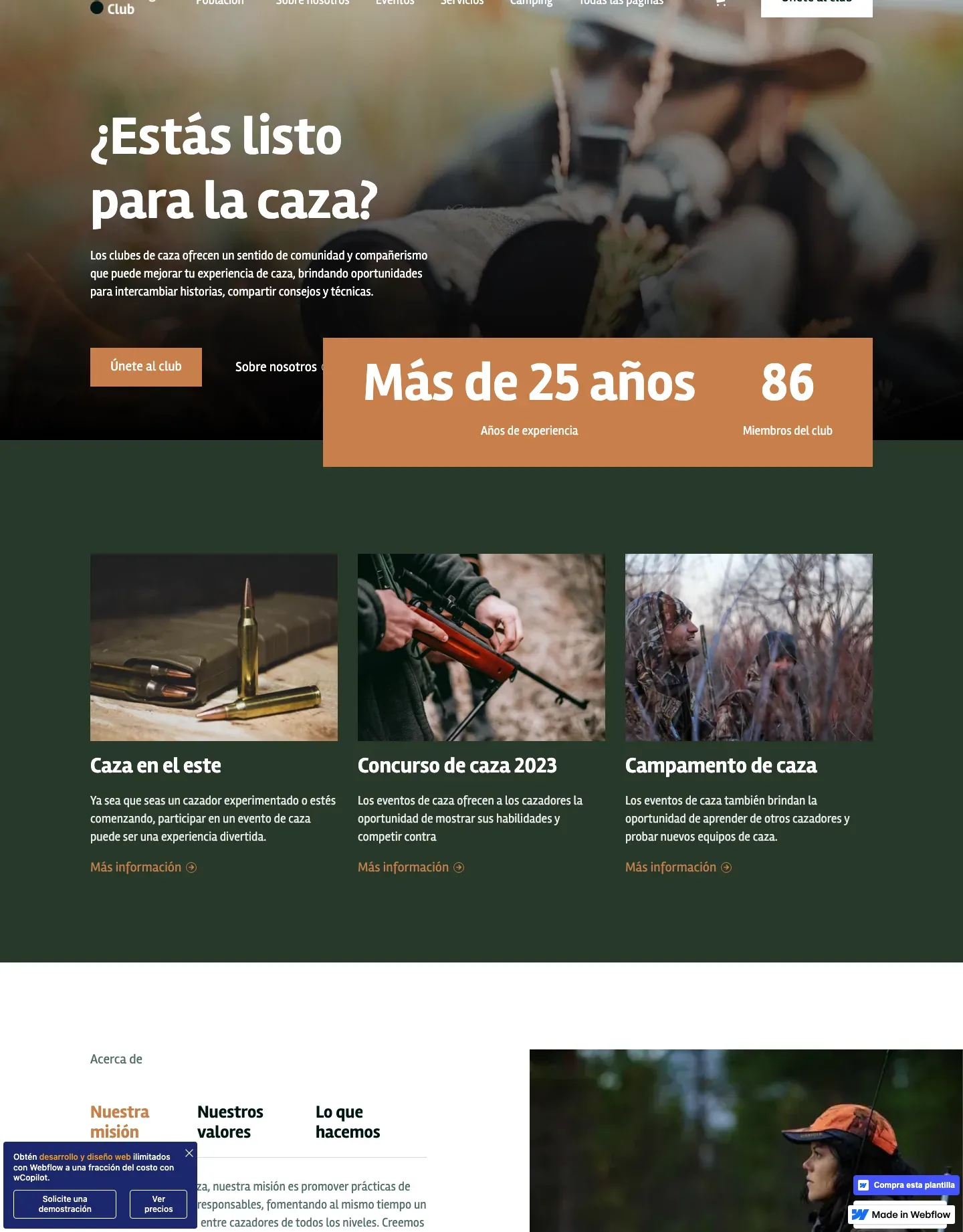 Diseño de página web para música y entretenimiento