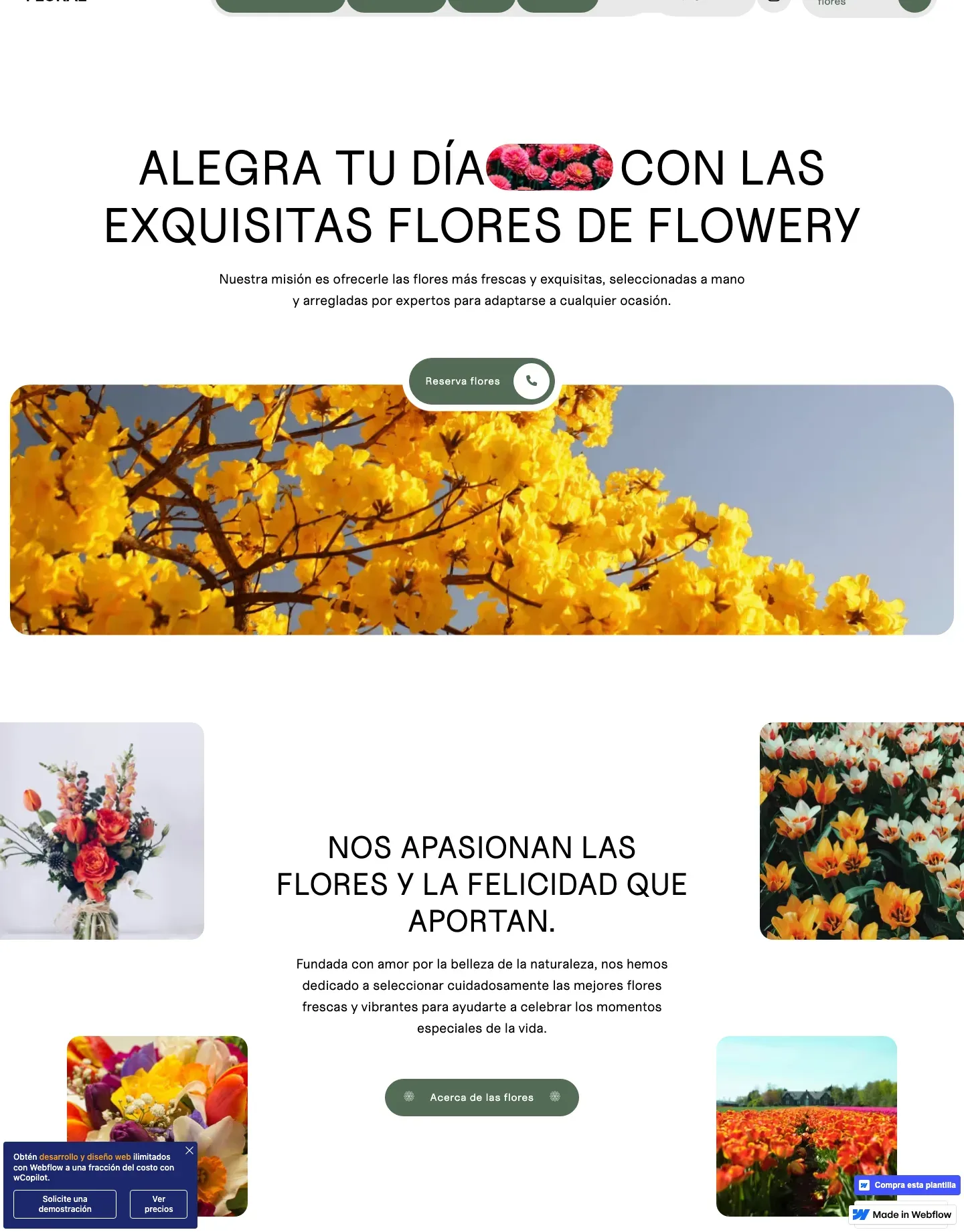 Diseño de página web para fotografía y eventos