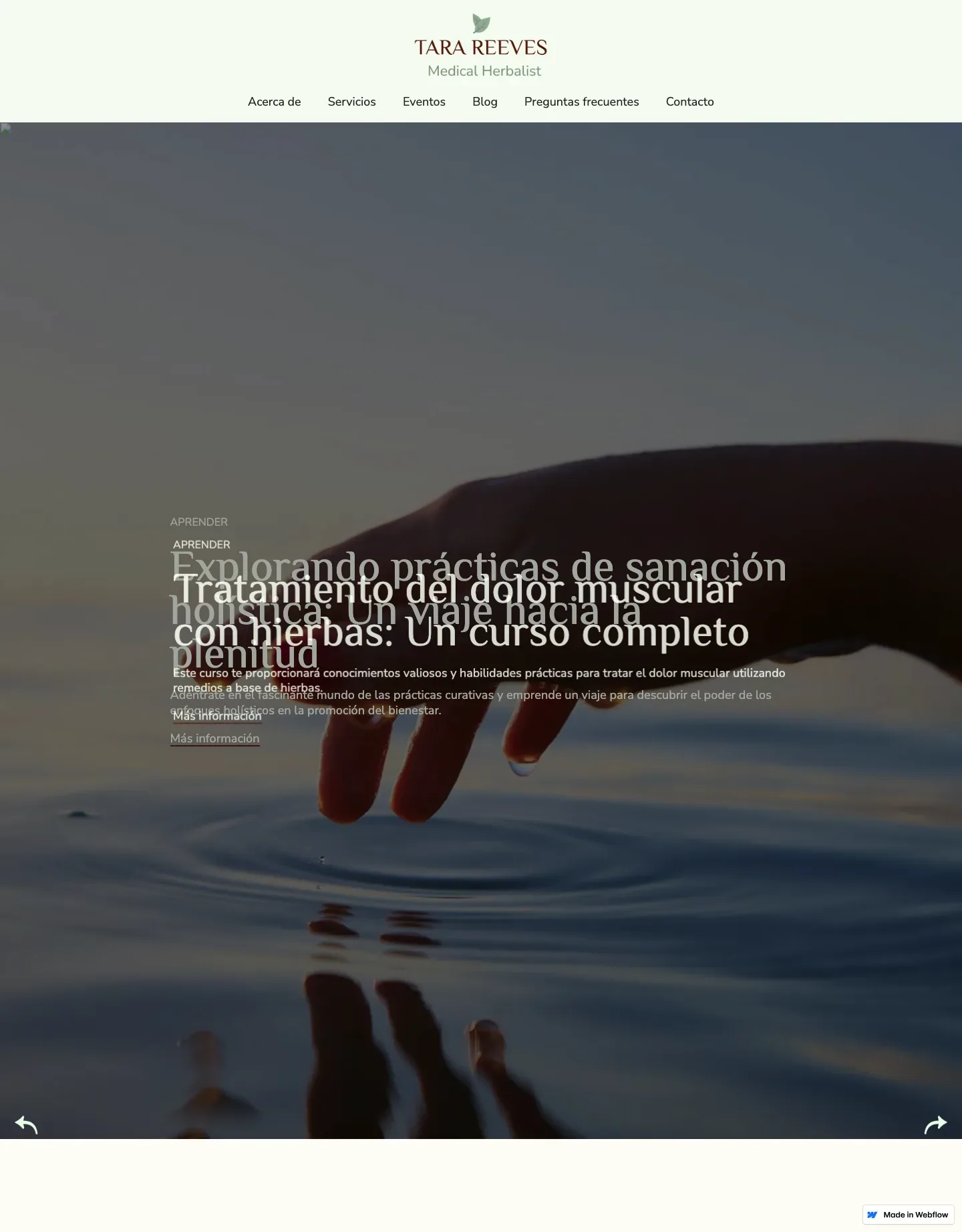 Diseño de página web para salud y bienestar