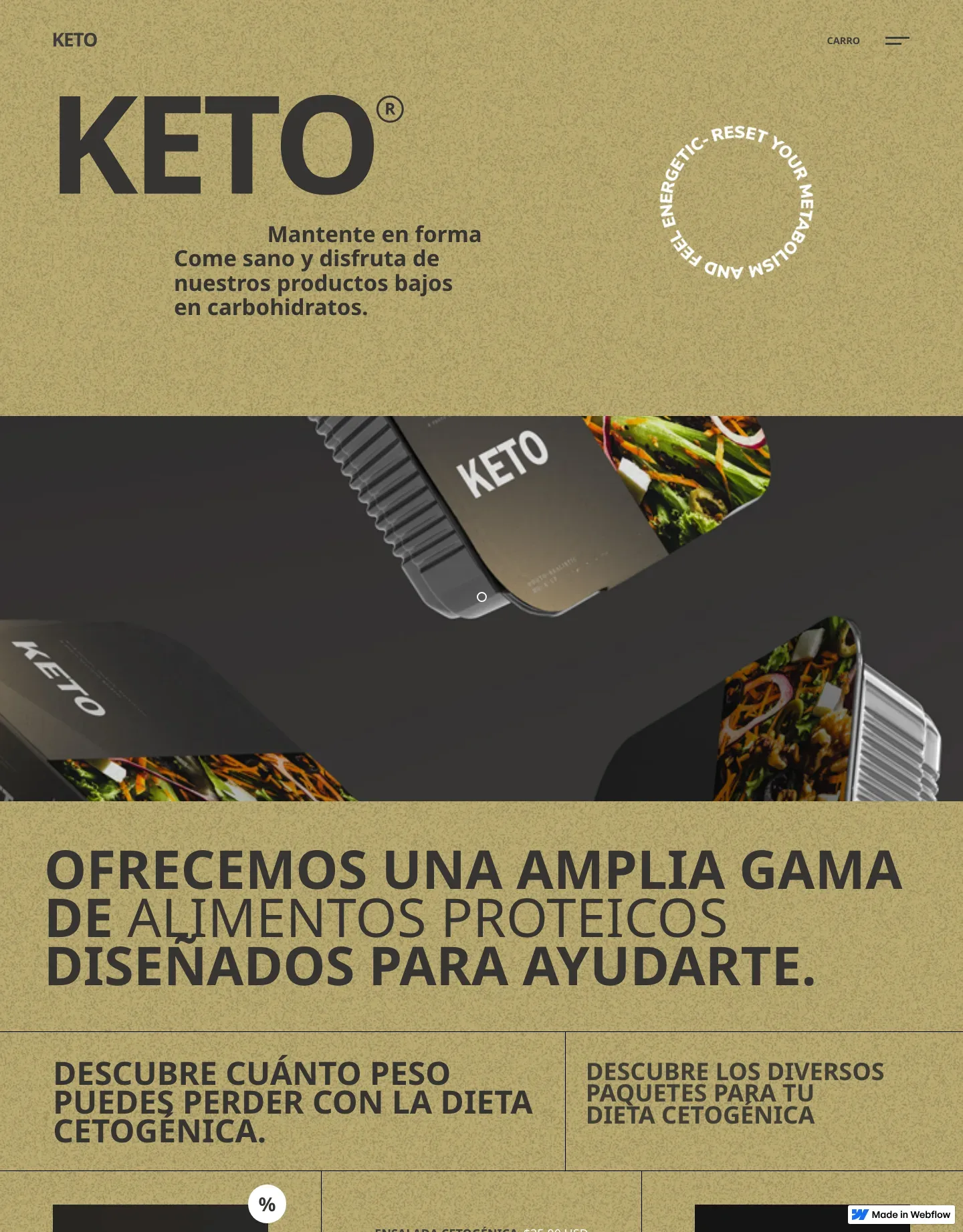 Diseño de página web para servicios y mantenimiento
