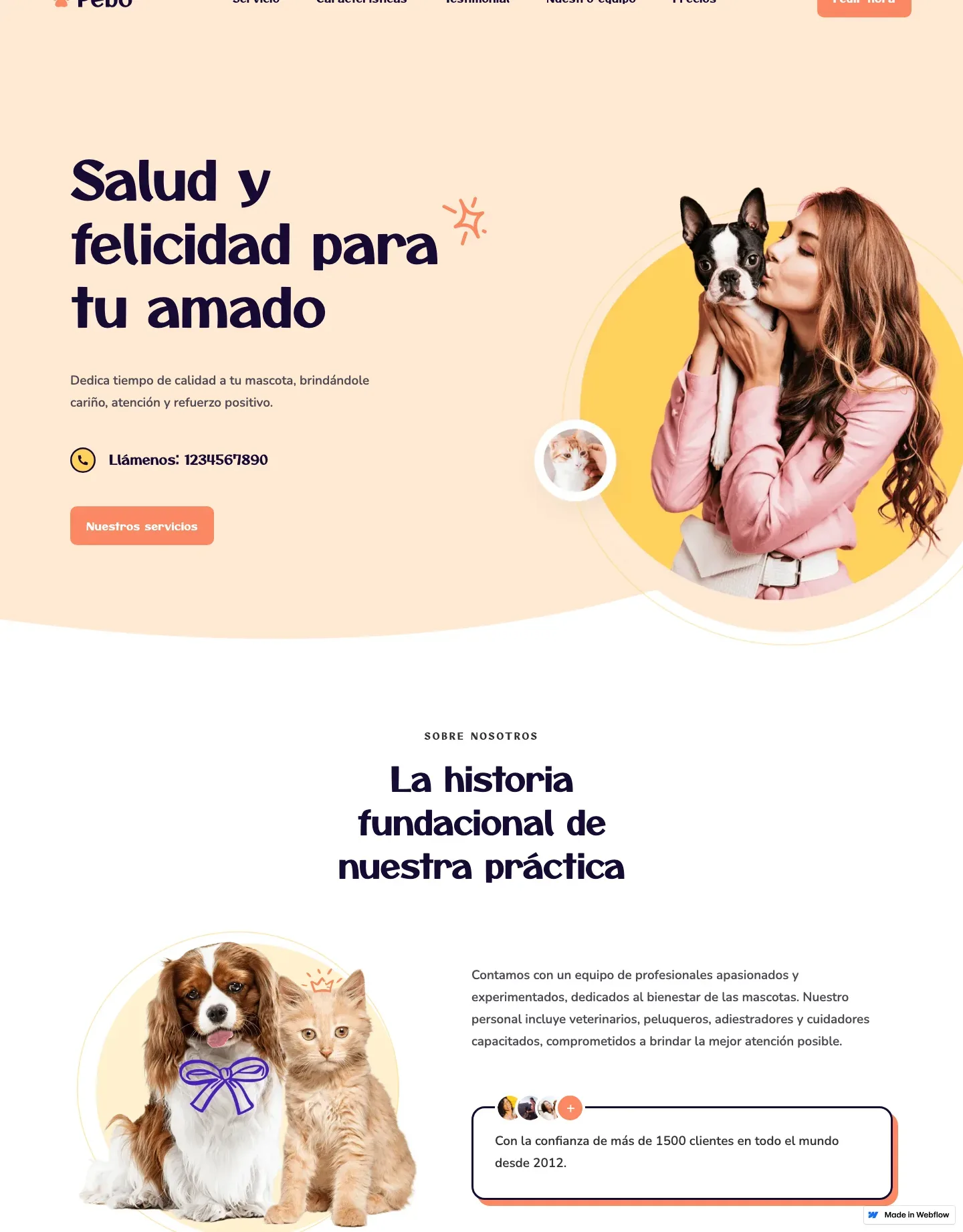 Diseño de página web para veterinarias