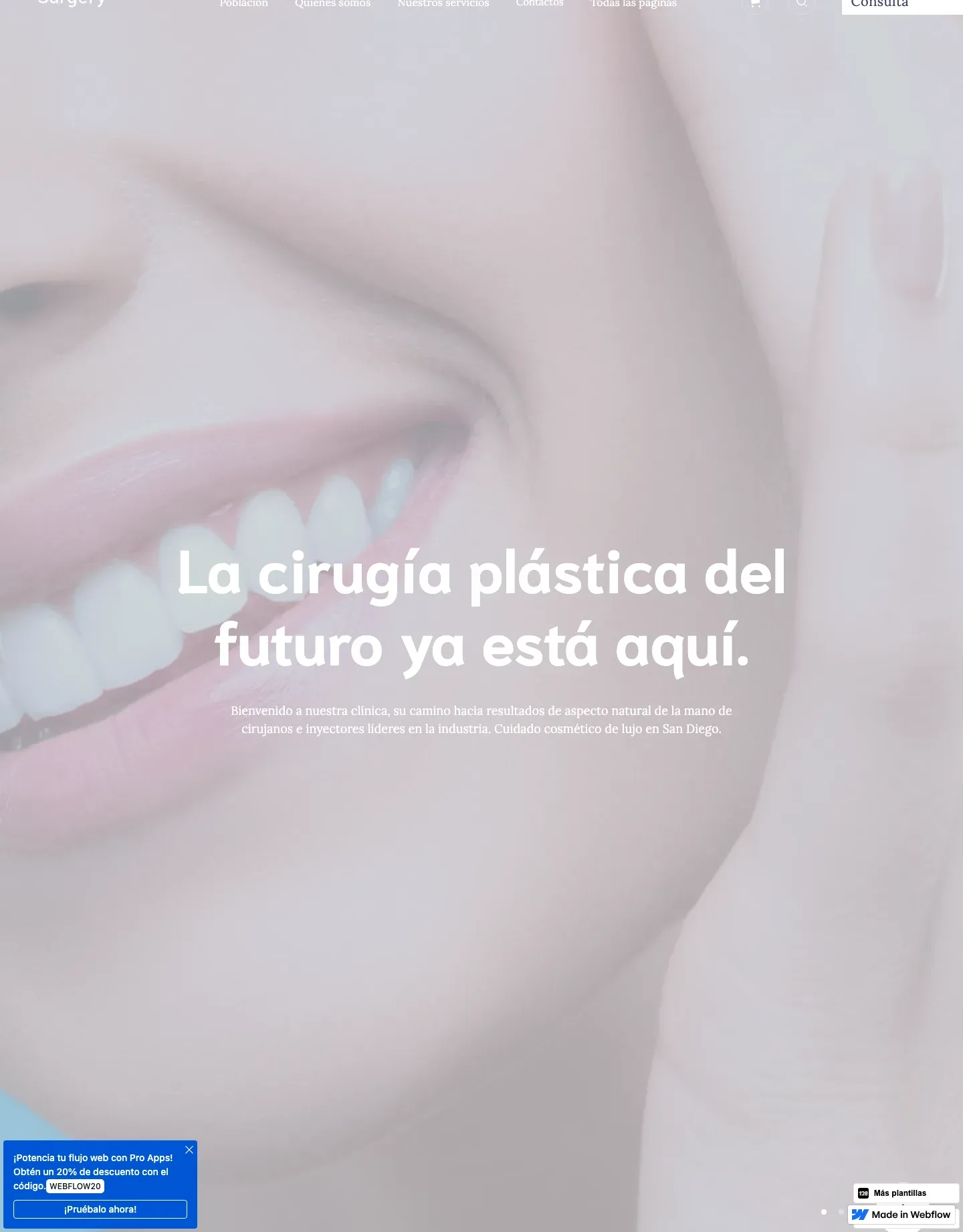 Diseño de página web para salud y bienestar