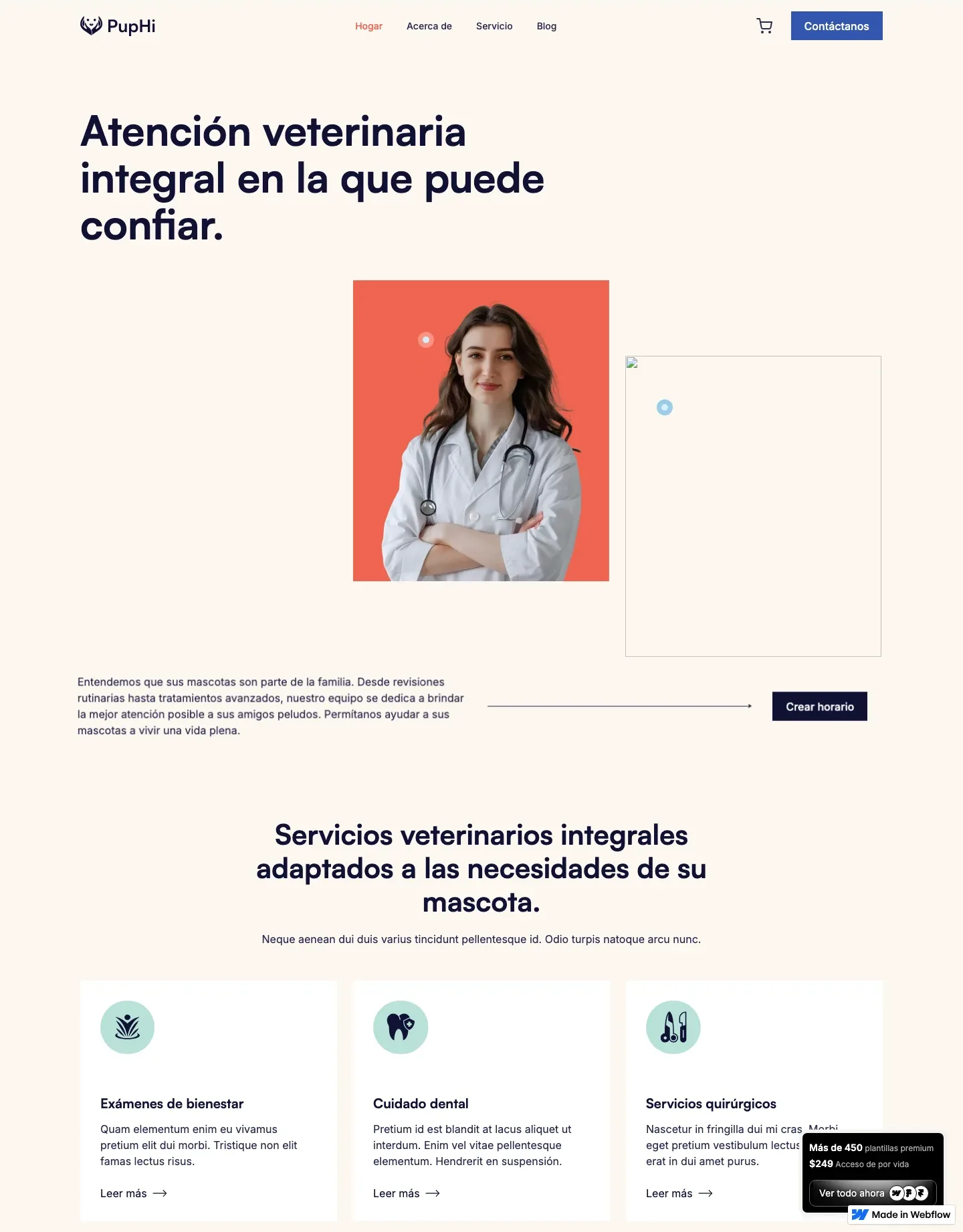 Diseño de página web para veterinarias