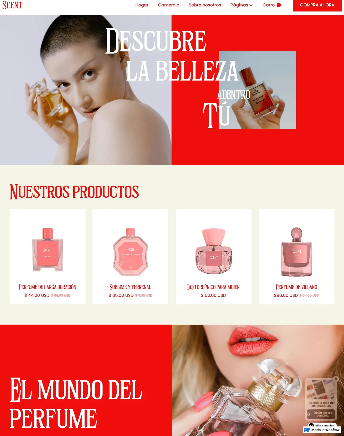 Diseño de página web para belleza y estética