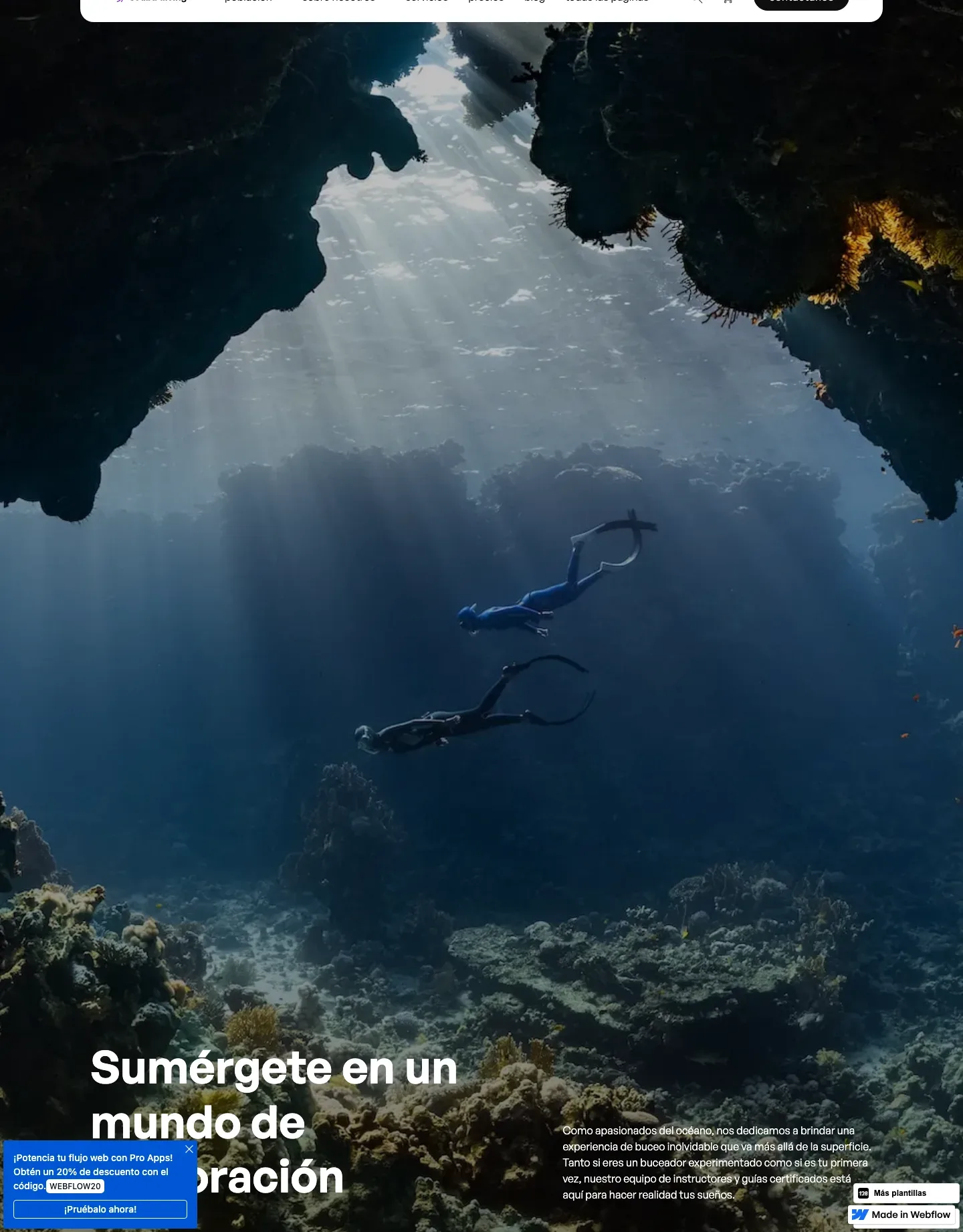 Diseño de página web para gimnasios
