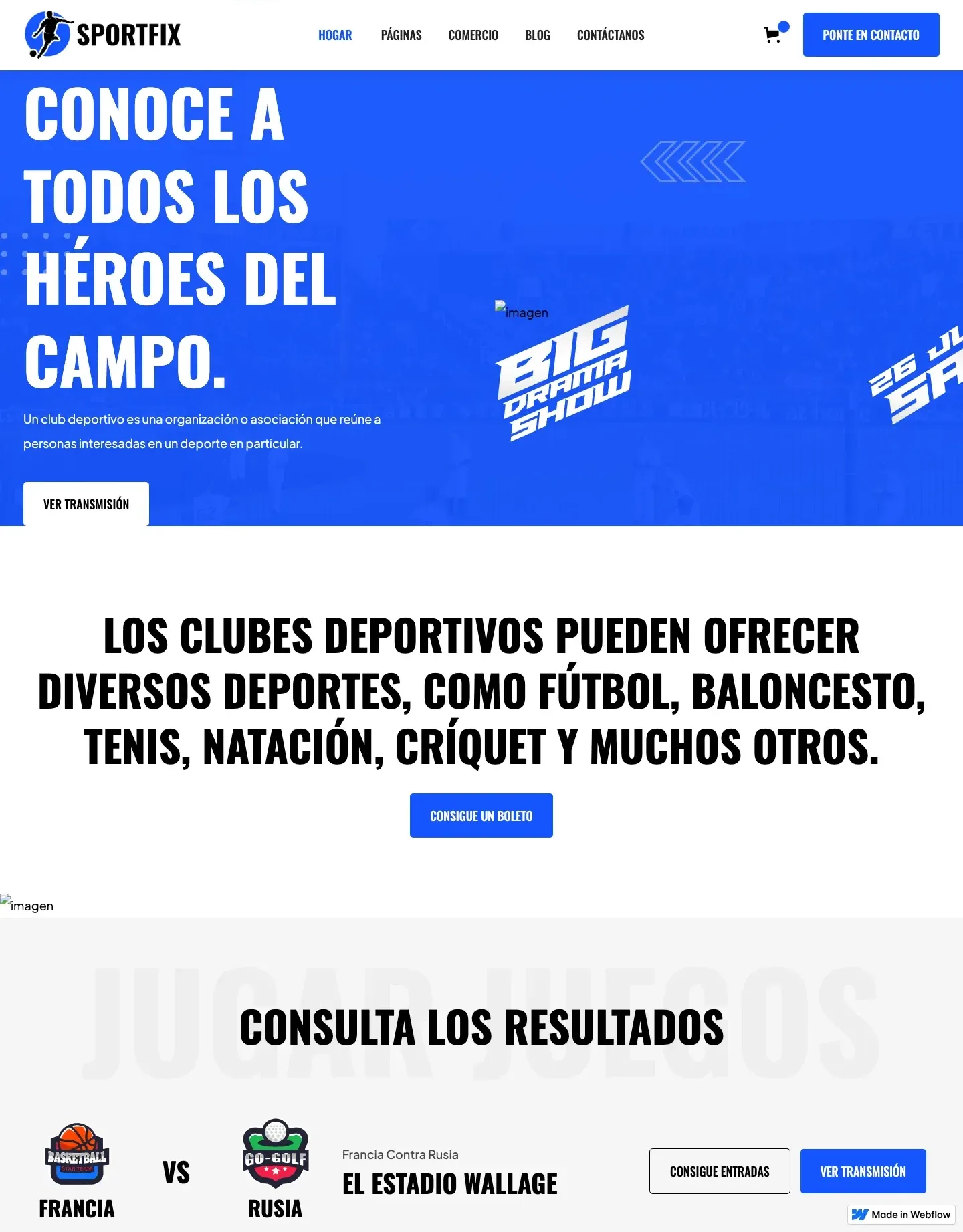 Diseño de página web para gimnasios