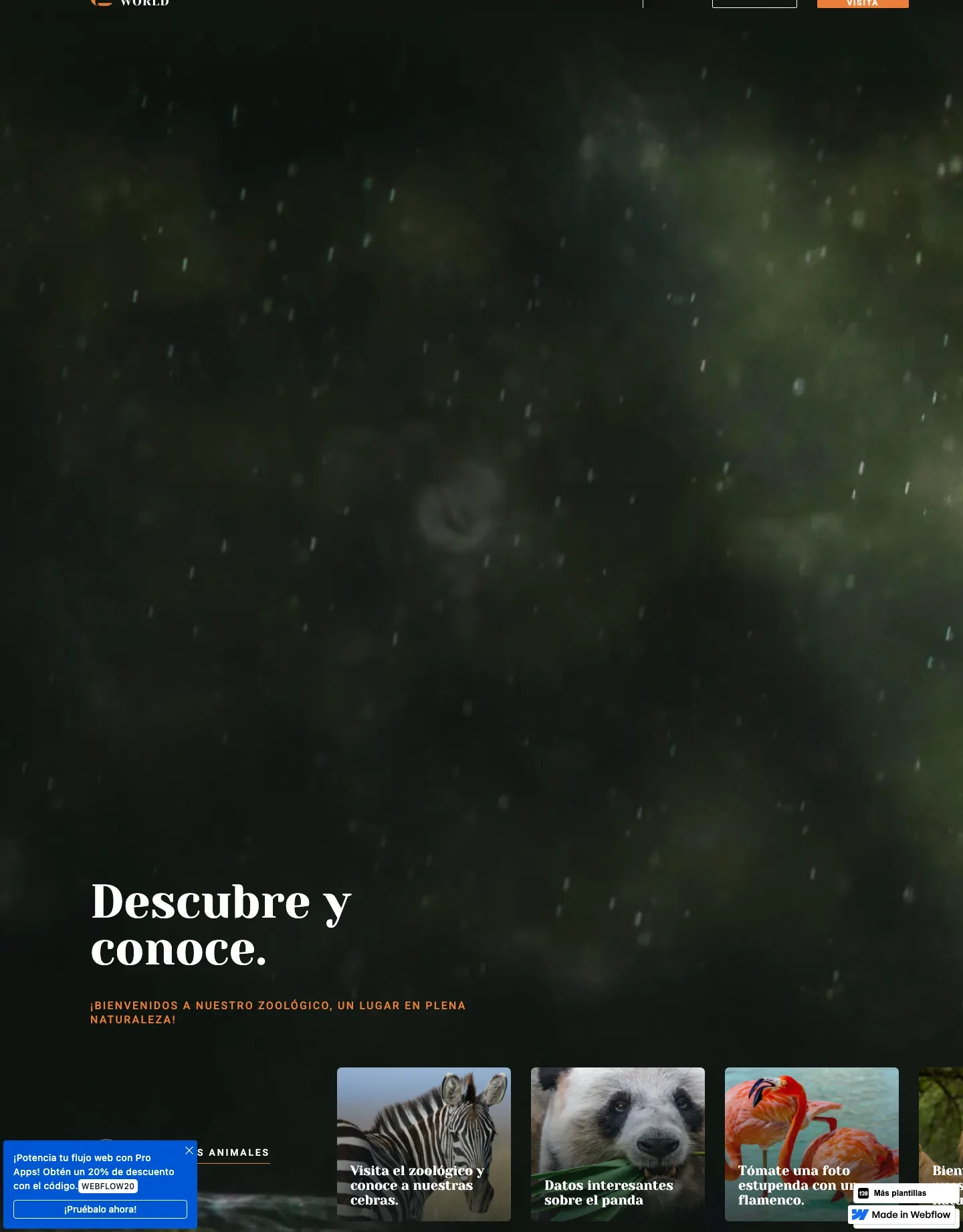 Diseño de página web para veterinarias